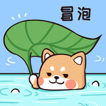 柴犬布丁           