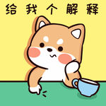 柴犬布丁           