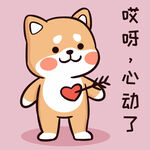 柴犬布丁           