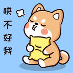 柴犬布丁           