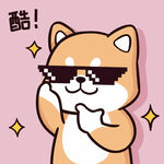 柴犬布丁           