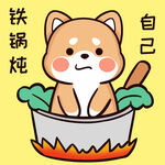 柴犬布丁           