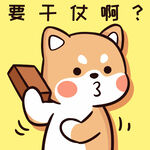 柴犬布丁           