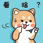 柴犬布丁           