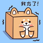 柴犬布丁           