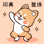 柴犬布丁           