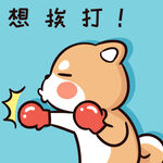 柴犬布丁           
