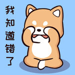 柴犬布丁           