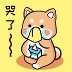 柴犬布丁           