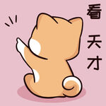 柴犬布丁           