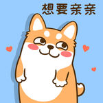 柴犬小小胖          