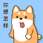 柴犬小小胖          