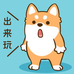 柴犬小小胖          