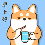 柴犬小小胖          
