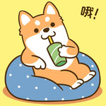 柴犬小小胖          