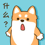 柴犬小小胖          