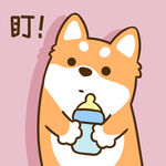 柴犬小小胖          