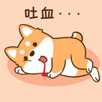 柴犬小小胖          