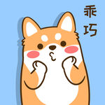 柴犬小小胖          