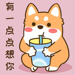 柴犬小小胖          