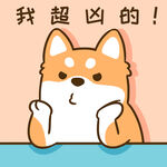柴犬小小胖          