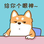 柴犬小小胖          