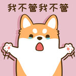 柴犬小小胖          