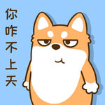 柴犬小小胖          