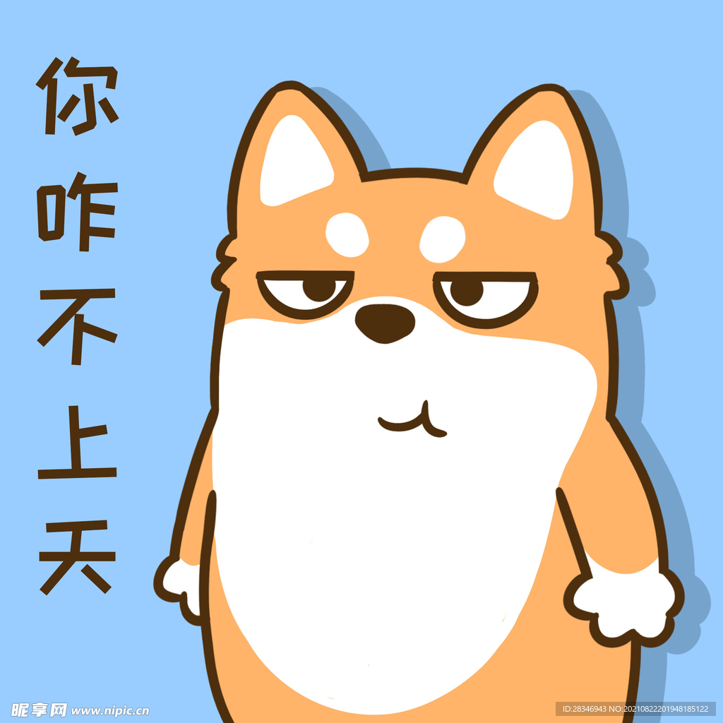 柴犬小小胖          