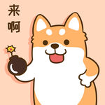 柴犬小小胖          