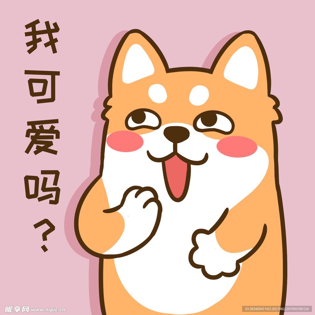 柴犬小小胖          