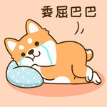 柴犬小小胖          