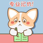 柯基小飞           