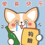 柯基小飞           