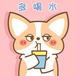 柯基小飞           