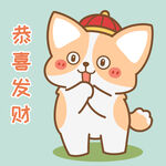 柯基小飞           