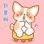 柯基小飞           