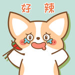 柯基小飞           