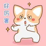 柯基小飞           