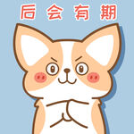 柯基小飞           