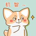 柯基小飞           