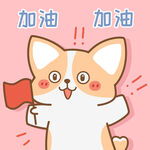柯基小飞           