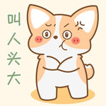 柯基小飞           