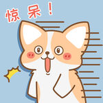 柯基小飞           