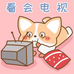 柯基小飞           