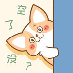 柯基小飞           