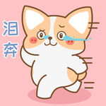 柯基小飞           
