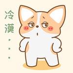 柯基小飞           