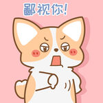 柯基小飞           