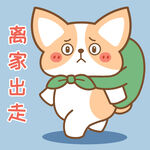 柯基小飞           